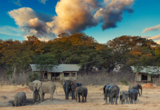 Web Machaba Package Definitive Machaba Verneys Camp Elephants Web Machaba Package Definitive Machaba Verneys Camp Elephants