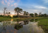 Machaba Web Packages Classic Botswana Zimbabwe Gomoti Camp Machaba Web Packages Classic Botswana Zimbabwe Gomoti Camp