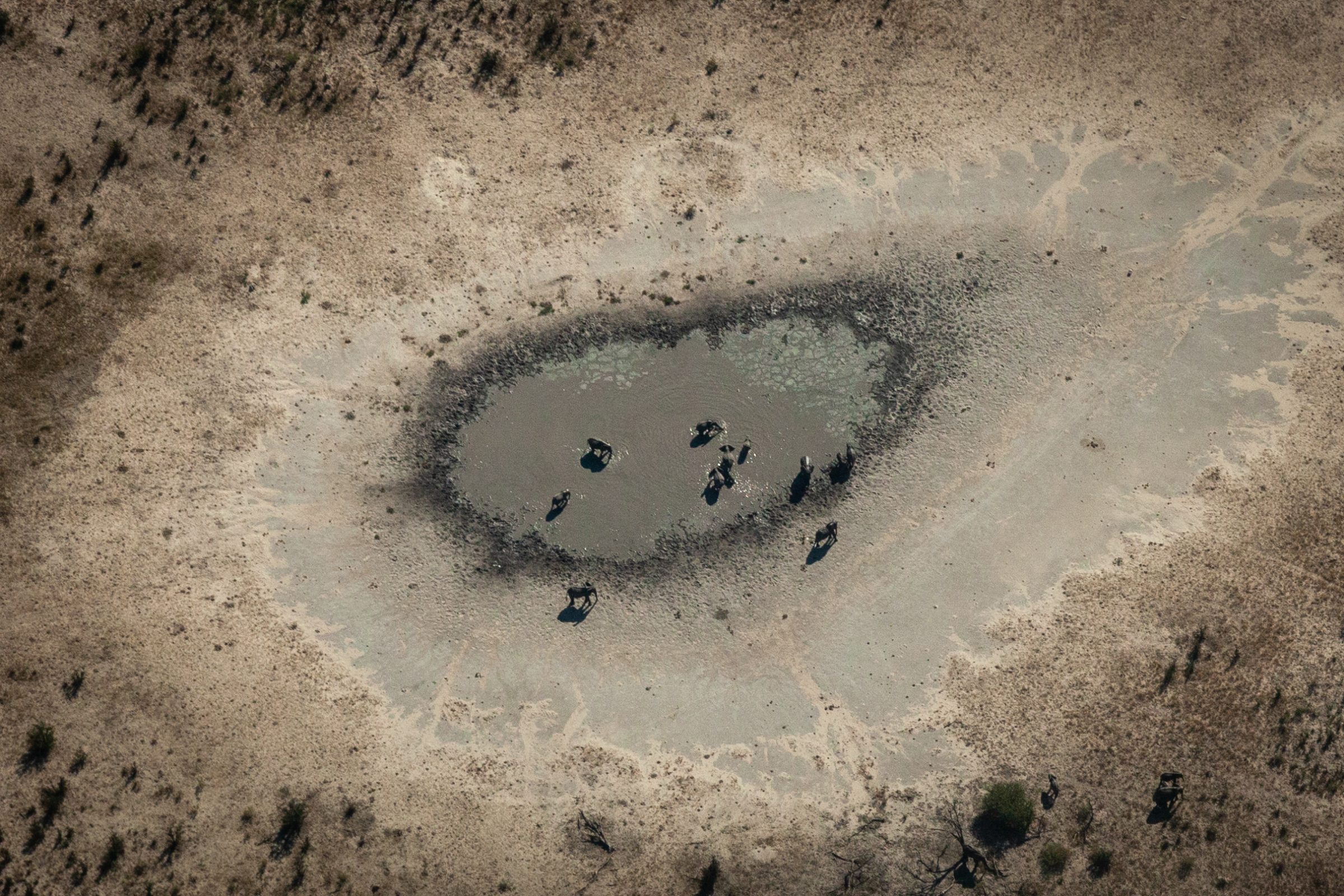 Machaba Machaba Accommodation Lodge Mvr 003