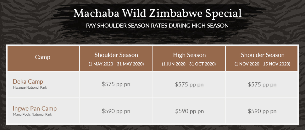 machaba-wild-zimbabwe-special-rates.jpg Machaba Wild Zimbabwe Special Rates
