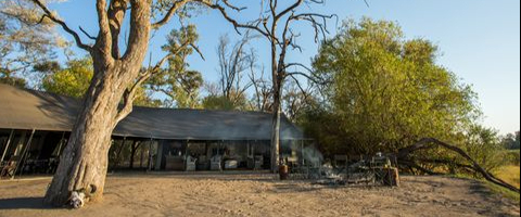 Machaba Camp Okavango Delta