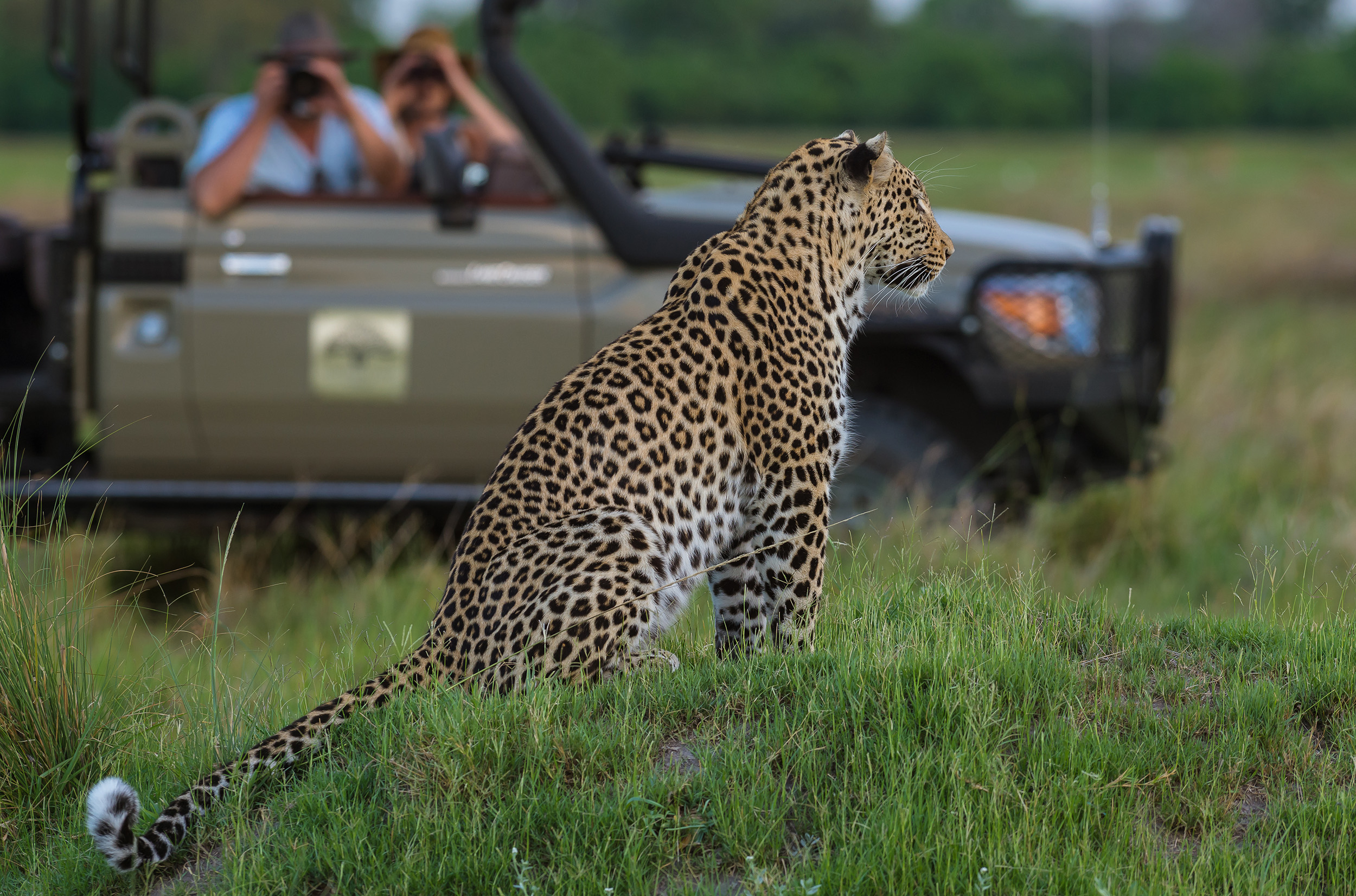 Machaba Web Our Story Safari Wildlife Machaba Web Our Story Safari Wildlife