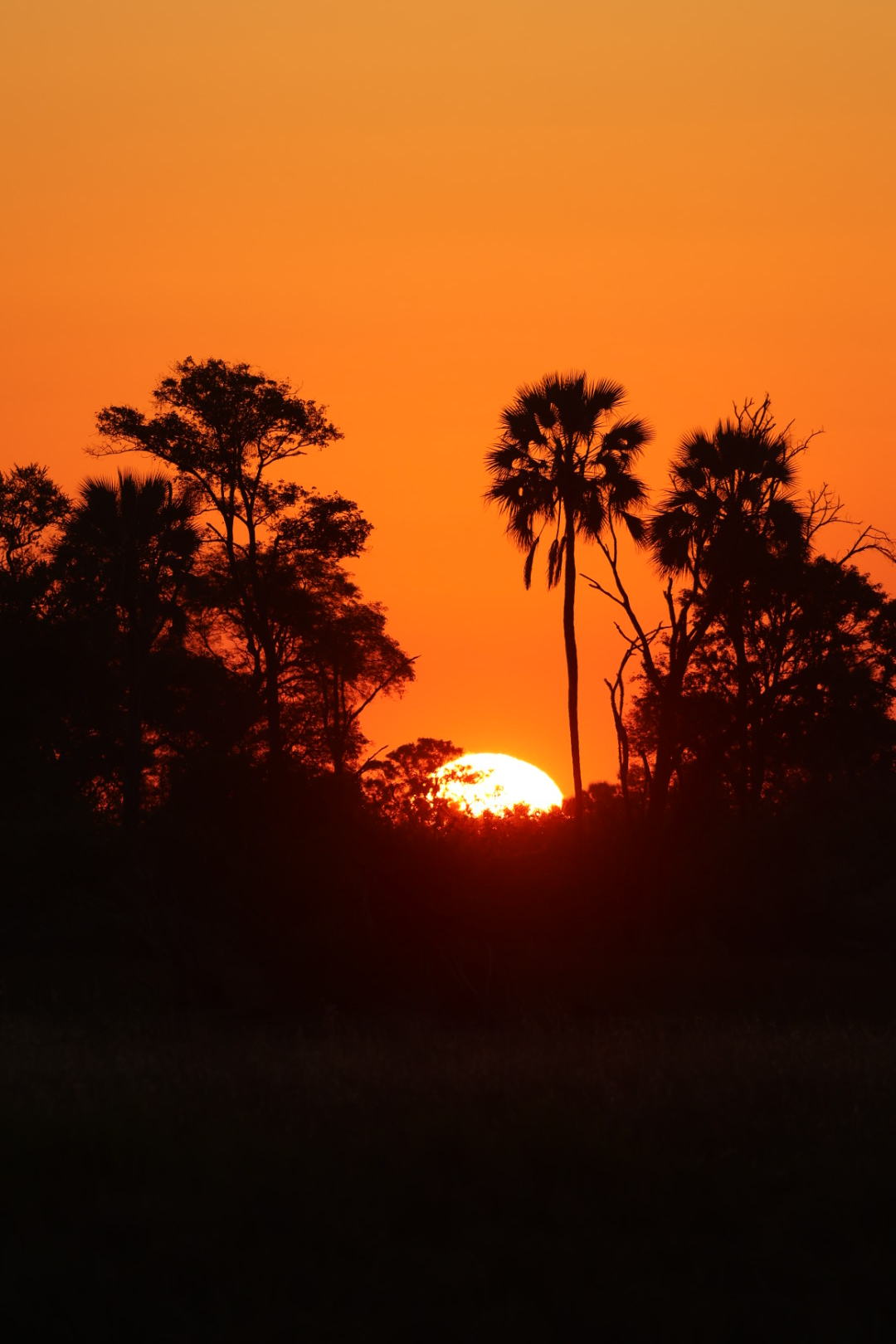 Botswana Okavango Delta Gomoti Plains Sunset Botswana Okavango Delta Gomoti Plains Sunset