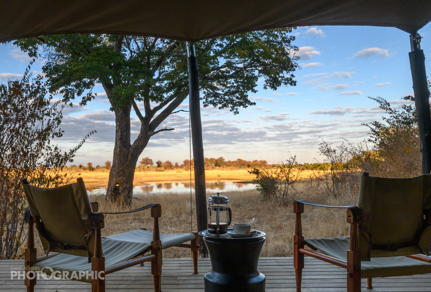 Zimbabwe Hwange Verneys Wildlife Sightings Verneys Deck Zimbabwe Hwange Verneys Wildlife Sightings Verneys Deck