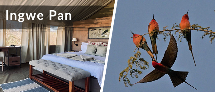 local-zimbabwe-resident-special-ingwe-pan.jpg Local Zimbabwe Resident Special Ingwe Pan