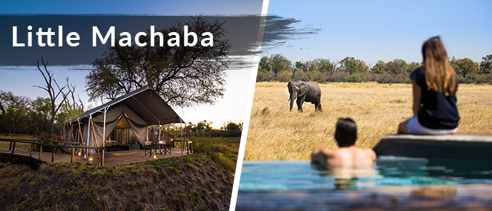 Botswana Resident Rate Special Little Machaba Botswana Resident Rate Special Little Machaba