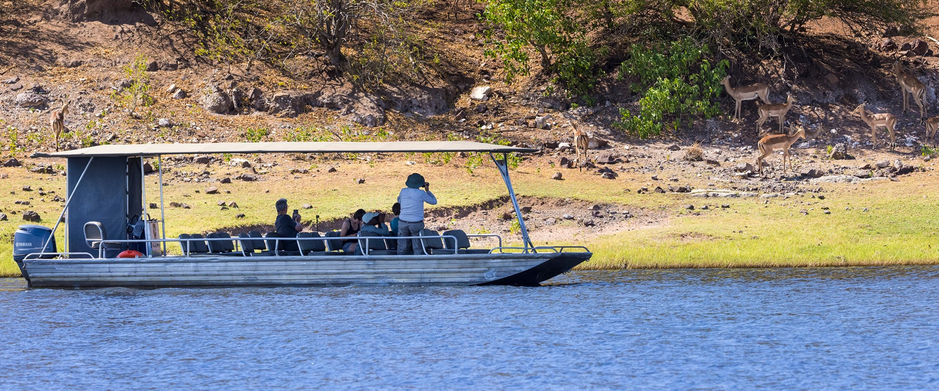 Machaba Web Activity Boating Wildlife Gather Along Riverbank Machaba Web Activity Boating Wildlife Gather Along Riverbank