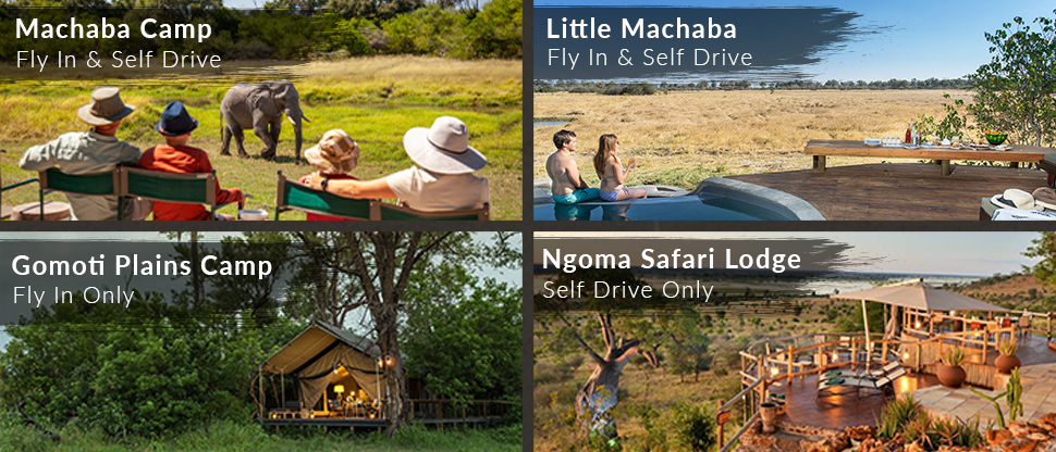 Botswana Resident Rate Special Camps And Lodges Full Width Botswana Resident Rate Special Camps And Lodges Full Width