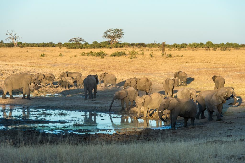 Machaba Zimbabwe Hwange Verneys Camp Elephants Sightings June 2016 Machaba Zimbabwe Hwange Verneys Camp Elephants Sightings June 2016
