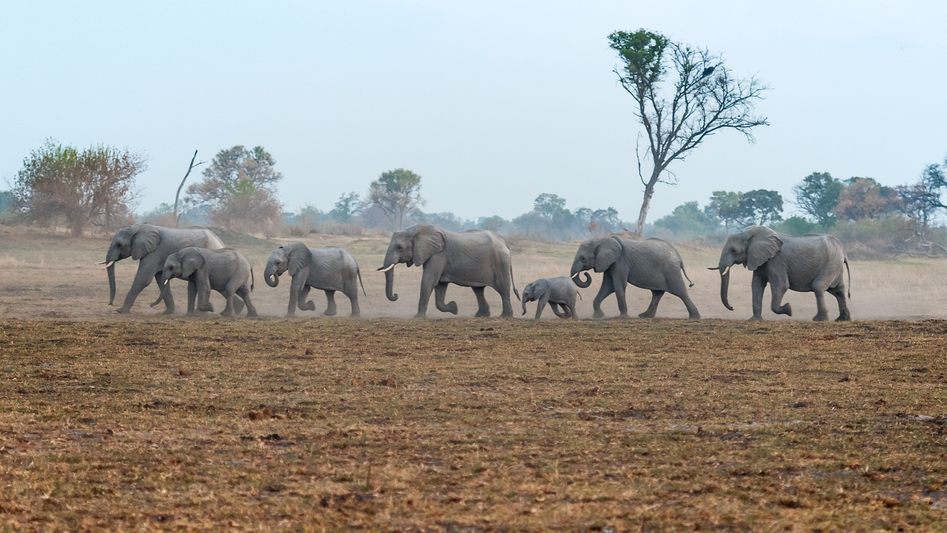 Kiri Camp Machaba Safaris Banenr Kiri Camp Machaba Safaris Banenr
