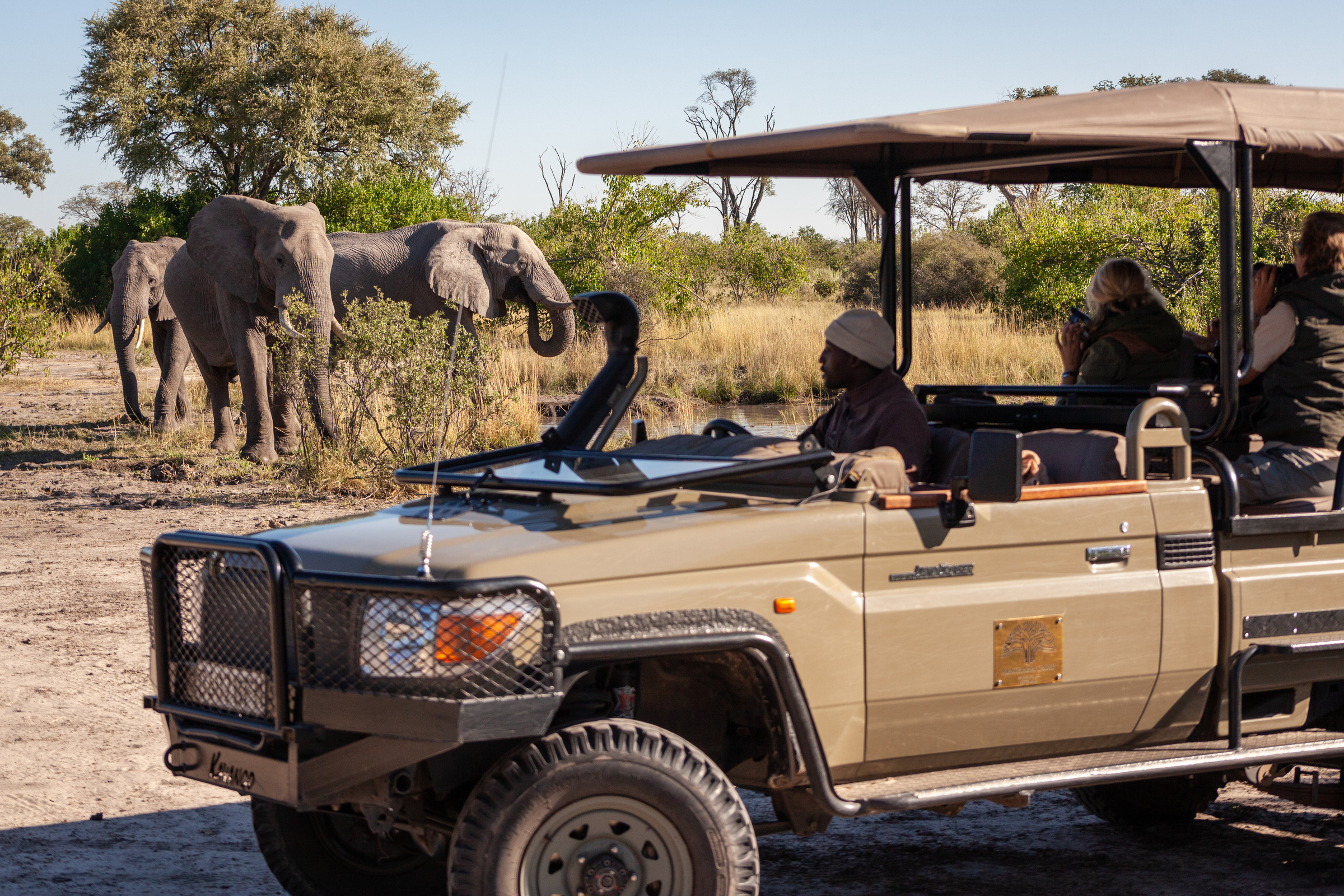 Images, Photography & Videography | Machaba Safaris