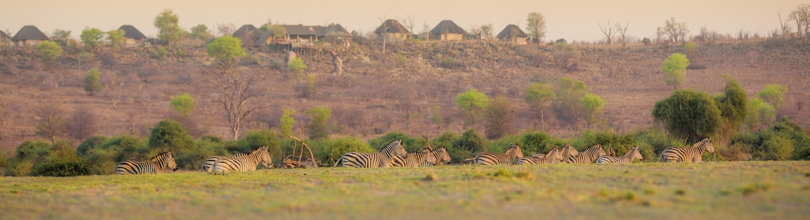 Machaba Safaris View Ngoma Lodge Machaba Safaris View Ngoma Lodge