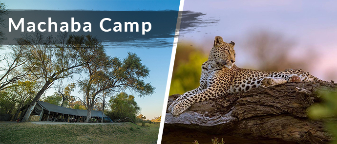 Botswana Resident Rate Special Machaba Camp Botswana Resident Rate Special Machaba Camp