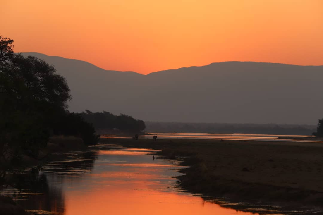 Willdife Sightings Mana River Camp Zimbabwe September 2024 Sunset Willdife Sightings Mana River Camp Zimbabwe September 2024 Sunset