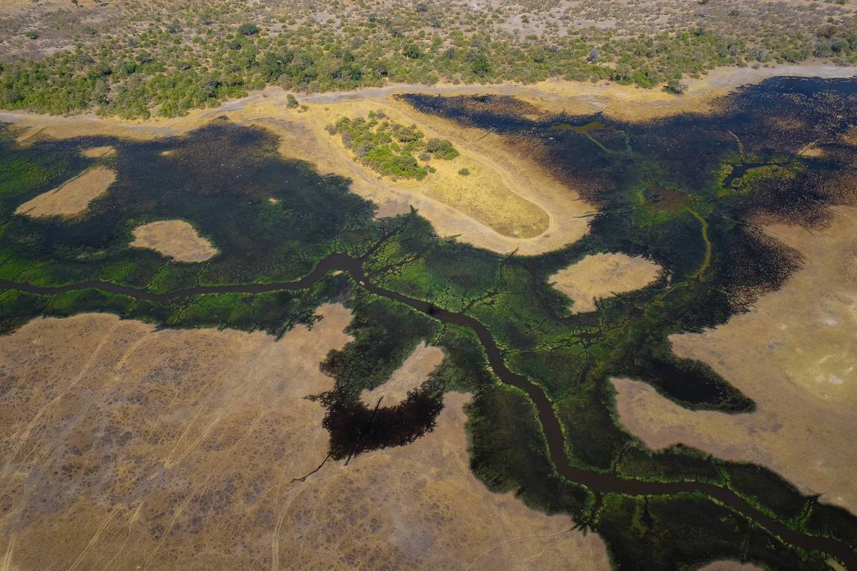 Botswana Resident Rate Special Banner Okavango Delta Botswana Resident Rate Special Banner Okavango Delta