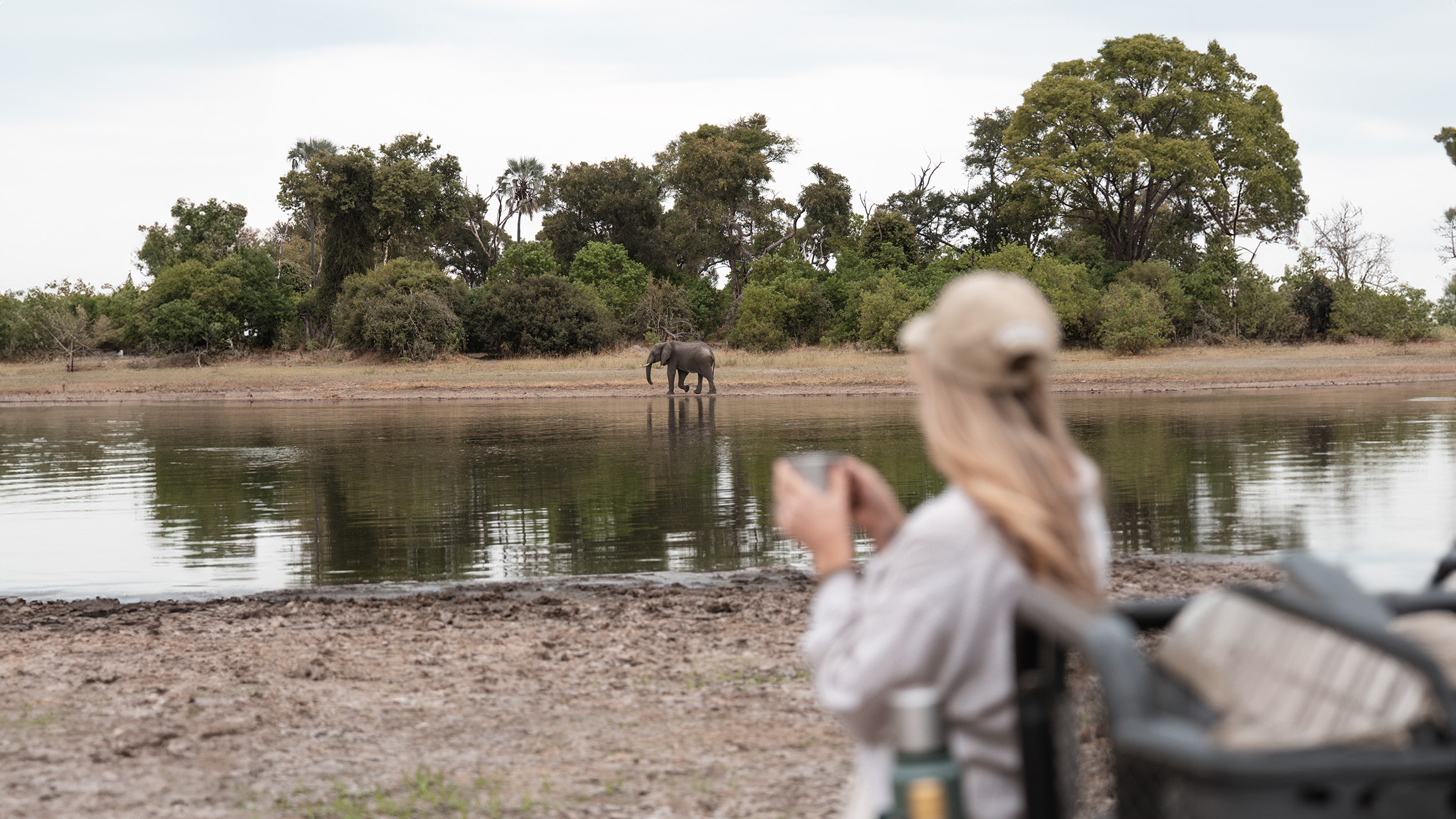 Machaba Web Our Story Eco Luxury Experiences Machaba Web Our Story Eco Luxury Experiences