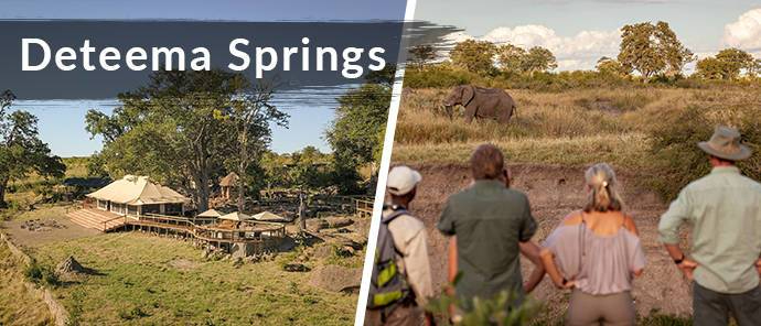 Local Zimbabwe Resident Special Deteema Springs Local Zimbabwe Resident Special Deteema Springs