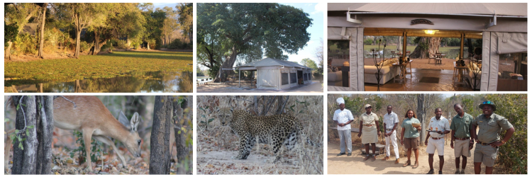 Machaba Mana Pools Ingwe Pan Camp Mike Garden Machaba Mana Pools Ingwe Pan Camp Mike Garden