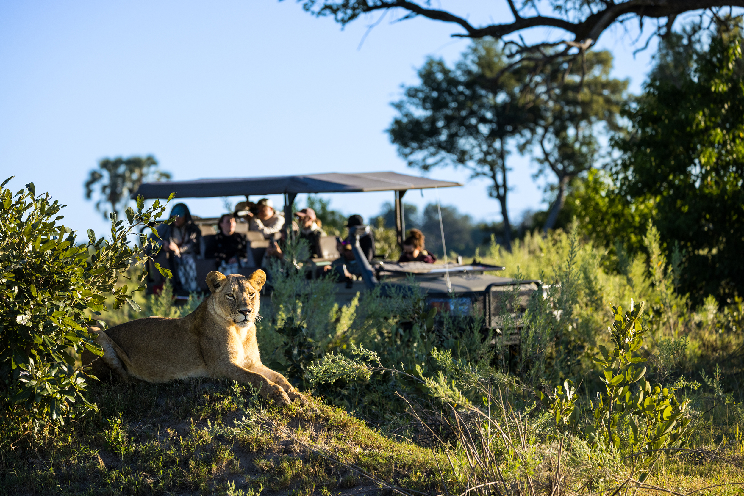 Machaba Web Monachira Camp Includes Safari Machaba Web Monachira Camp Includes Safari