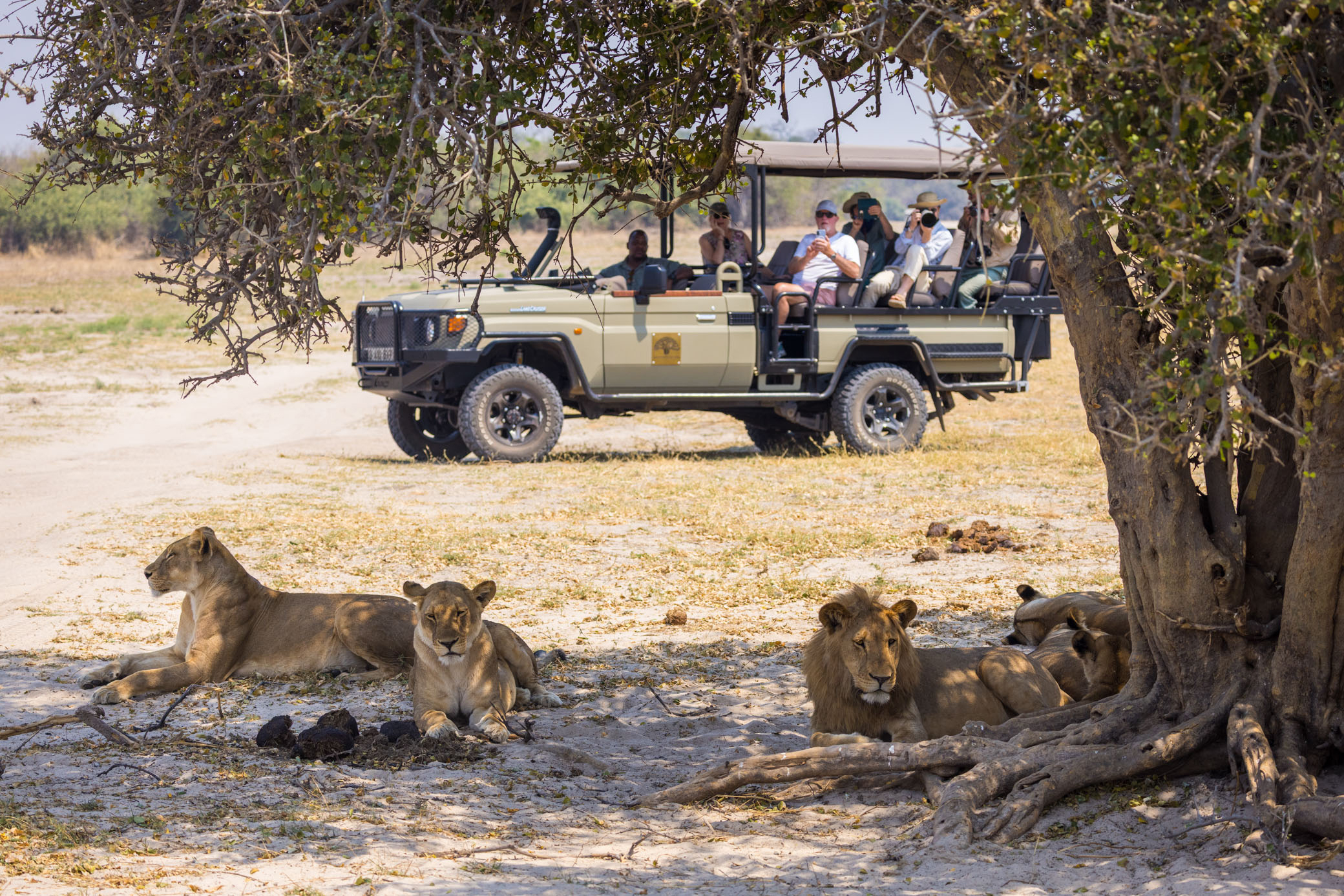 Web Machaba Ngoma Lodge Rates Includes Activities