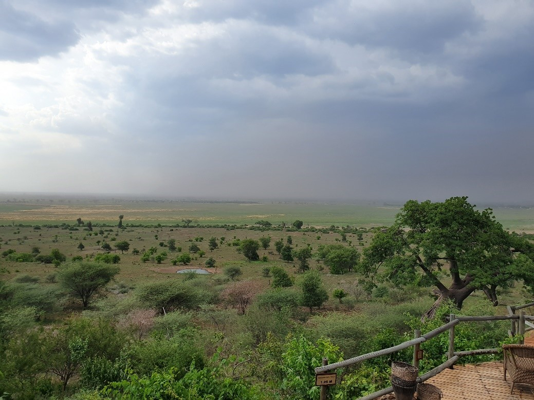 Machaba Safaris Botswana Chobe Ngoma Lodge Sightings Dec 2019 Cta Image Machaba Safaris Botswana Chobe Ngoma Lodge Sightings Dec 2019 Cta Image