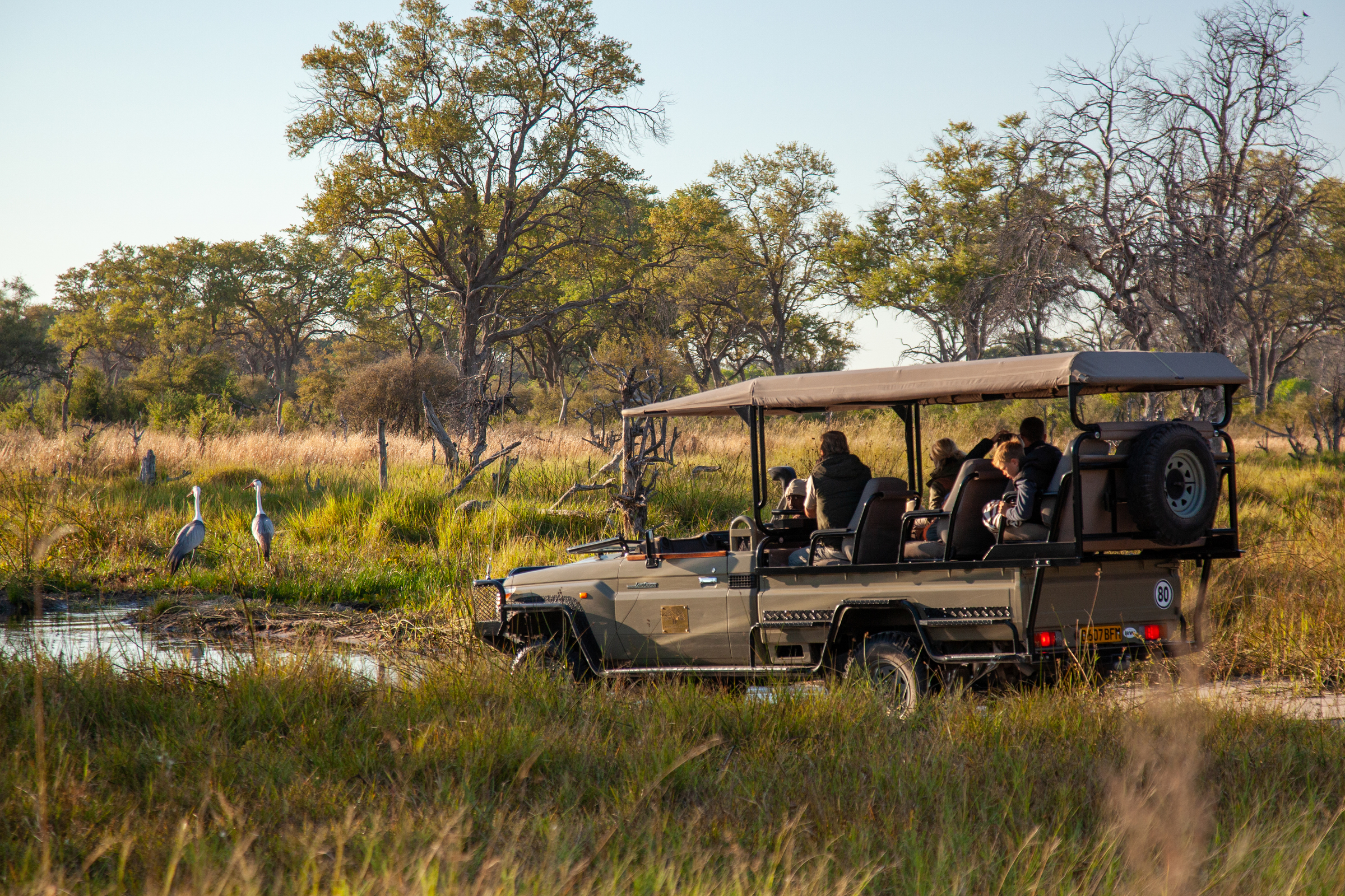 Images, Photography & Videography | Machaba Safaris