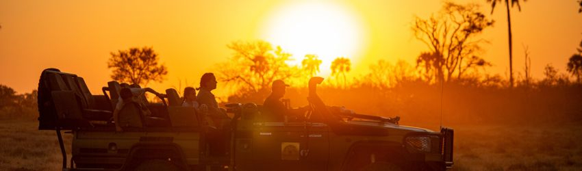 Machaba Routes Package Machaba Safaris Game Drive At Sunset Machaba Routes Package Machaba Safaris Game Drive At Sunset