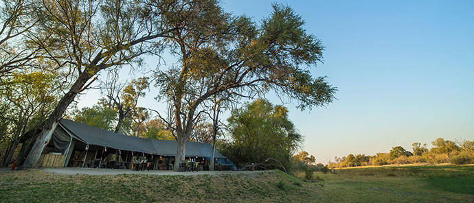Machaba Guide Feature Machaba Camp Botswana Machaba Guide Feature Machaba Camp Botswana
