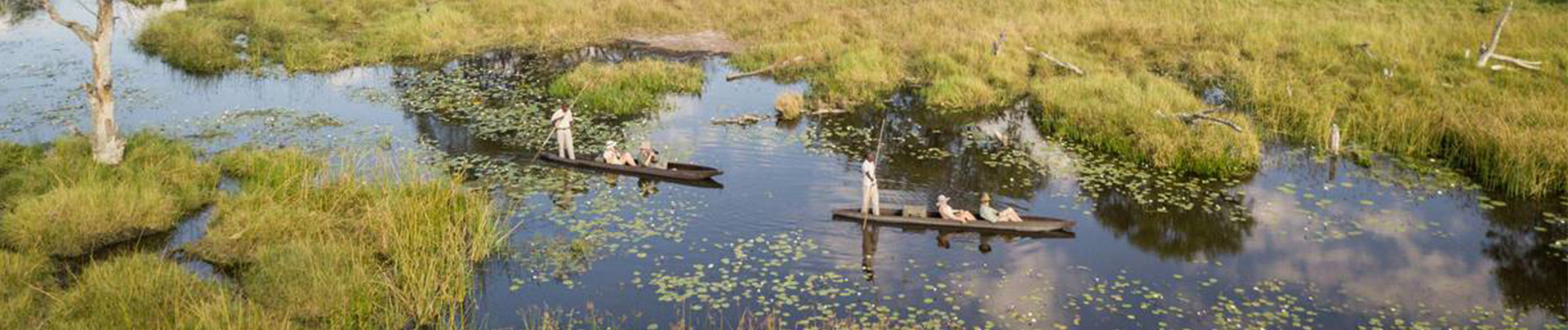 On Safari Nala Episode 9 Mokoro Safari Banner On Safari Nala Episode 9 Mokoro Safari Banner