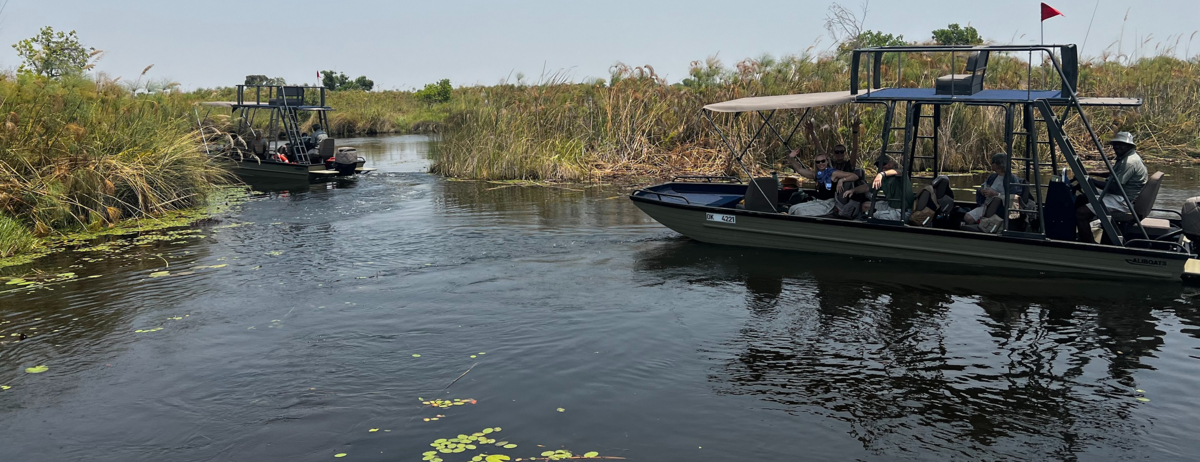 Machaba Monachira Camp Wildlife Sightings October 2025 Okavango Delta River Cruise