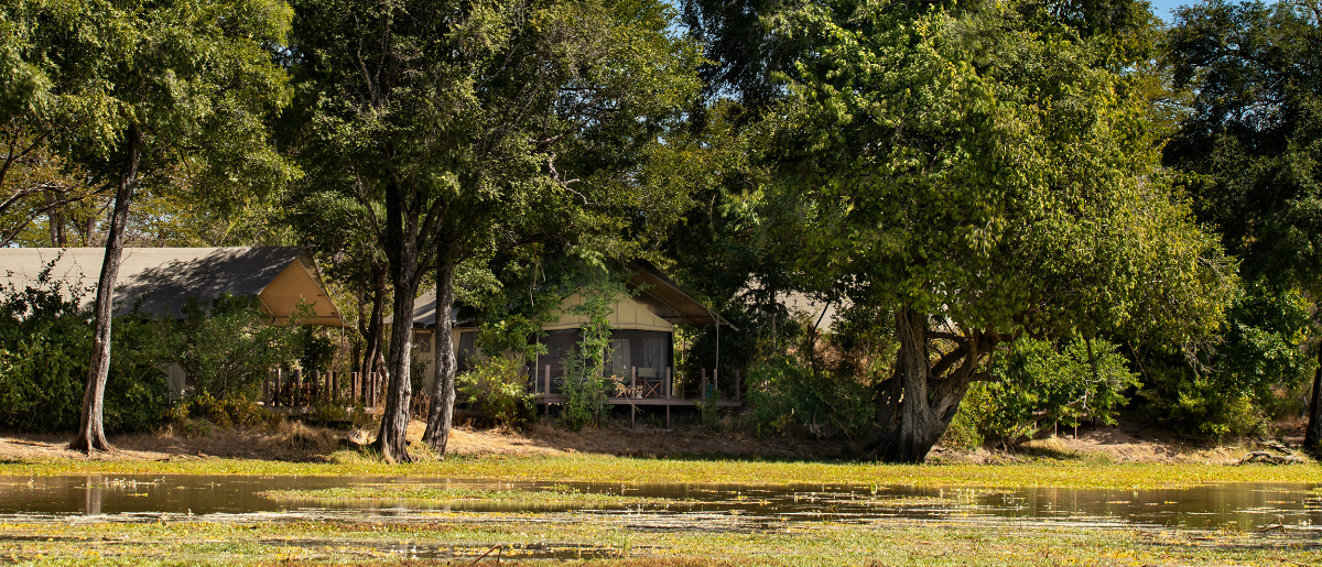 Machaba Zimbabwe Ingwe Pan Elevated Desk Machaba Zimbabwe Ingwe Pan Elevated Desk