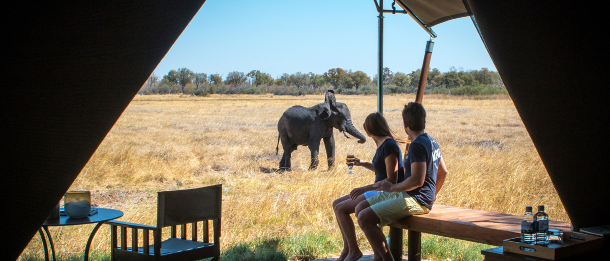 Wildlife Pass Your Tent Wildlife Pass Your Tent