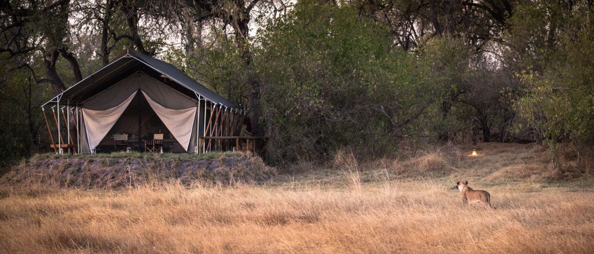 Little Machaba 102 Little Machaba 102