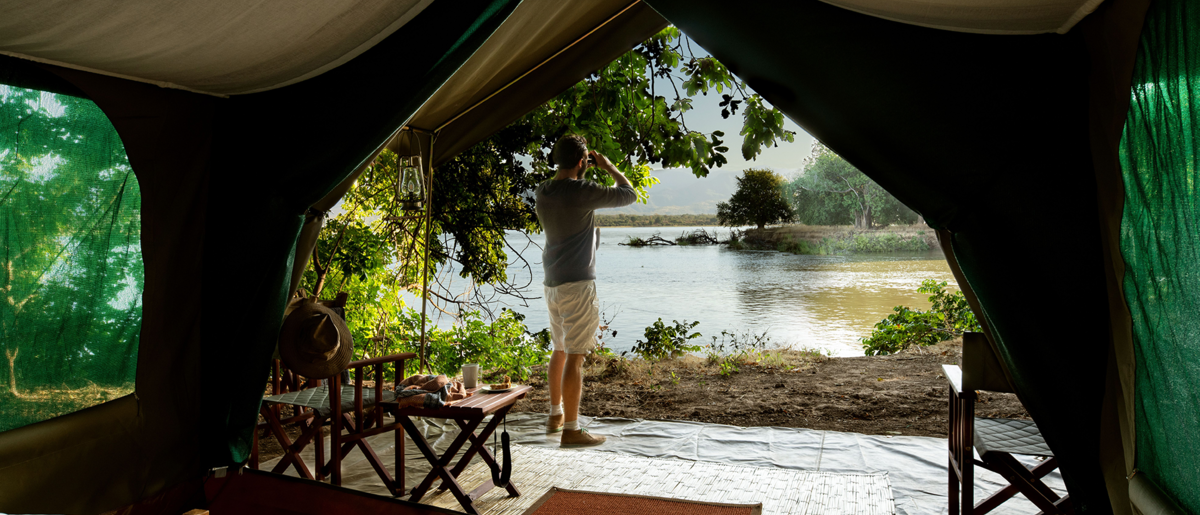 Watch Wildlife From Your Tent