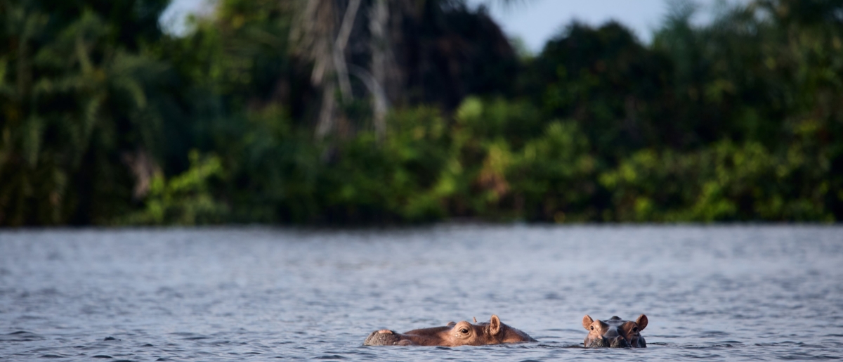 Your Home In The Wild Carousel Image One