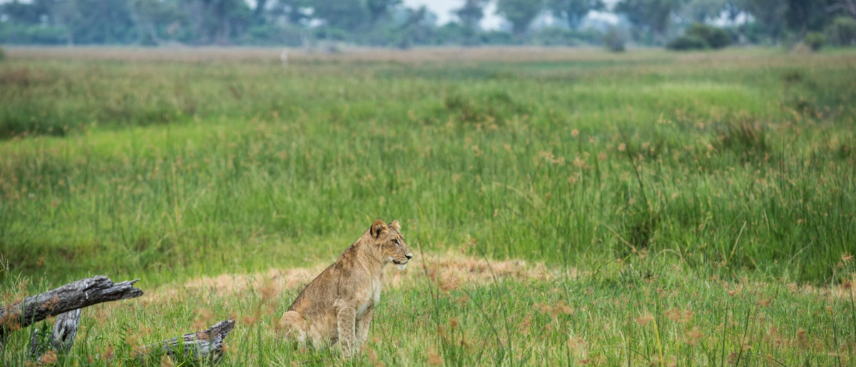 Machaba Deteema Accommodation Lodge Mvr 045