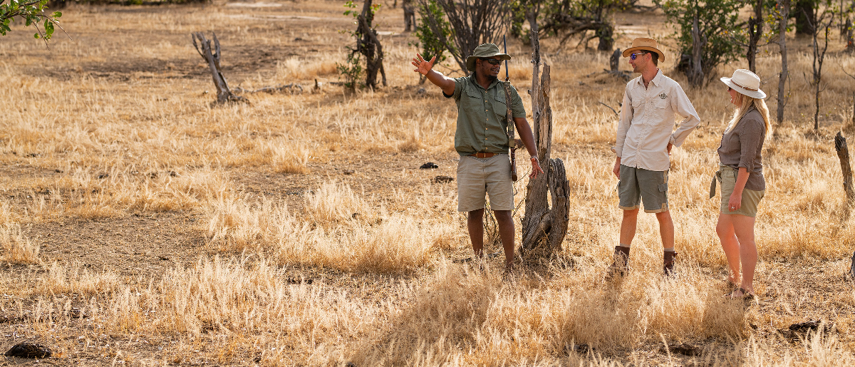 Machaba Web Zimbabwe Ingwe Pan Walking Safari