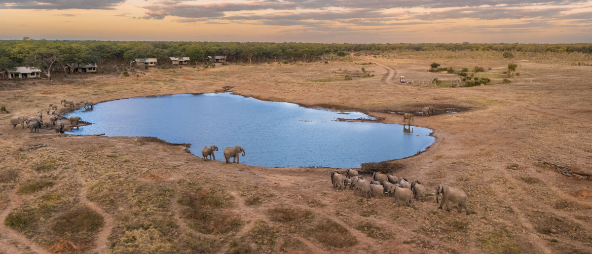 Machaba Zimbabwe Verneys Camp Highlights Large Herds Machaba Zimbabwe Verneys Camp Highlights Large Herds