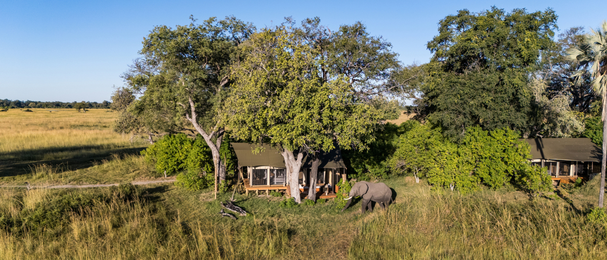 Machaba Web Monachira Camp Rooms Highlights Wildlife Machaba Web Monachira Camp Rooms Highlights Wildlife