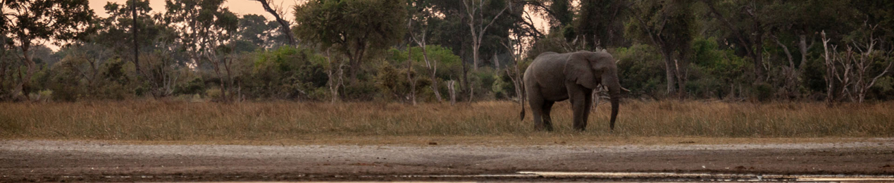 Machaba-south african-season-sunset-sundowner-gomoti.jpg Machaba South African Season Sunset Sundowner Gomoti
