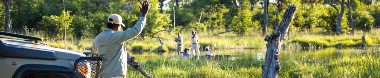 Machaba Web Safari Experience Gallery Mokoro Picnic Machaba Web Safari Experience Gallery Mokoro Picnic