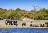 Machaba Safaris Web Ngoma Lodge Boat Cruise Wild Life Machaba Safaris Web Ngoma Lodge Boat Cruise Wild Life