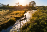 Machaba Web Monachira Camp Highlights Activities Mokoro Machaba Web Monachira Camp Highlights Activities Mokoro