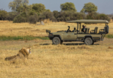Game Drives Game Drives