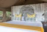 Machaba Deteema Accommodation Tent Mvr 021 Machaba Deteema Accommodation Tent Mvr 021