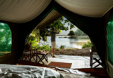 Watch Wildlife From Your Tent Watch Wildlife From Your Tent