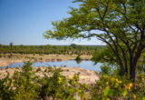 Hwange Opt 1 Hwange Opt 1