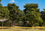 Machaba Web Zimbabwe Ingwe Pan Luxury Tent Overview Machaba Web Zimbabwe Ingwe Pan Luxury Tent Overview