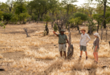 Machaba Web Zimbabwe Ingwe Pan Walking Safari Machaba Web Zimbabwe Ingwe Pan Walking Safari