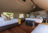 Machaba Deteema Accommodation Tent Family Mvr 001 Machaba Deteema Accommodation Tent Family Mvr 001